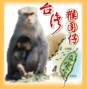 Formosan Macaque