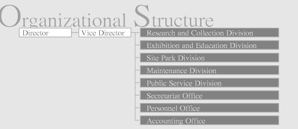 The organizational structure of the National Museum of Prehistory 